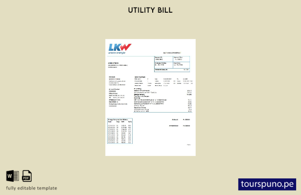 listo para imprimir la plantilla de factura de servicios públicos de electrici 1